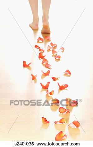 Stock Photography - Woman walking on petals. Fotosearch