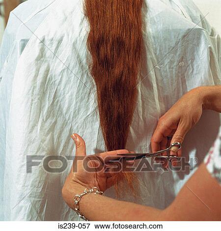 Woman having haircut View Large Photo Image Stock Photo - Woman having haircut. Fotosearch