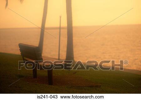 Bench near sea View Large Photo Image Stock Image - Bench near sea. Fotosearch