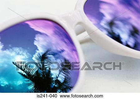 Palm trees reflected in sunglasses View Large Photo Image Stock Image - Palm trees reflected in sunglasses. Fotosearch