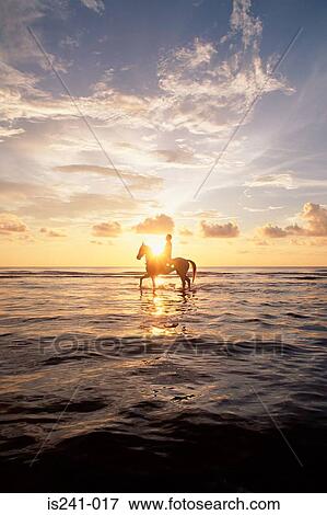 Person riding horse in sea at sunset View Large Photo Image Stock Photo - Person riding horse in sea at sunset. Fotosearch
