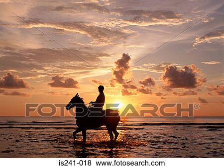 Stock Photo - Person riding horse in sea at sunset. Fotosearch