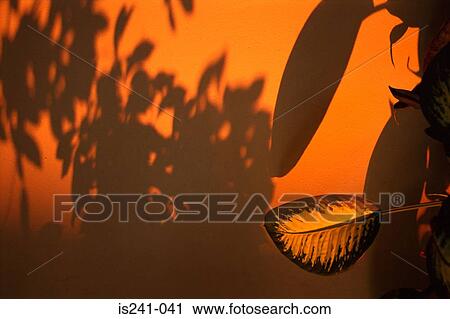 Plant at sunset View Large Photo Image Stock Image - Plant at sunset. Fotosearch