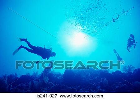Scuba divers in sea View Large Photo Image Stock Photo - Scuba divers in sea. Fotosearch