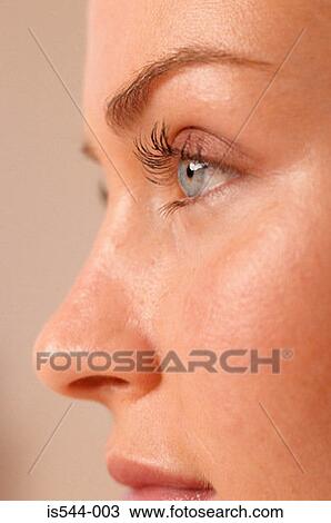 Partial profile of female face View Large Photo Image Stock Image - Partial profile of female face. Fotosearch