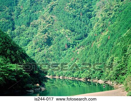 Stock Photo - Forest by a river. Fotosearch