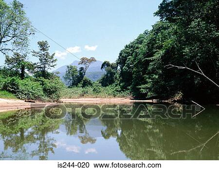 Trees by water View Large Photo Image Stock Image - Trees by water. Fotosearch