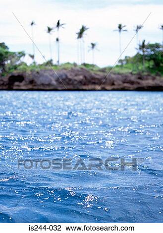Water with trees in the background View Large Photo Image Stock Image - Water with trees in the background. Fotosearch
