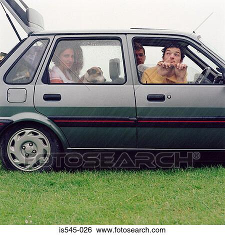 car, dog, friend, friendship, grass View Large Photo Image Stock Photograph - car, dog, friend, friendship, grass. Fotosearch