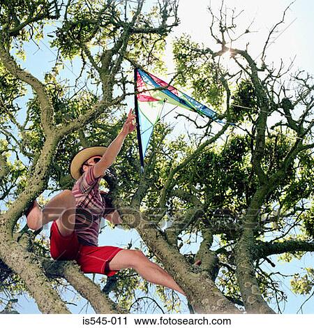 holiday, kite, rescuing, summer View Large Photo Image Stock Image - holiday, kite, rescuing, summer. Fotosearch