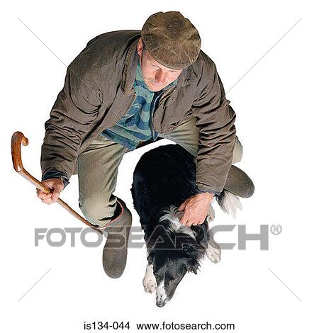 Picture - border collie, cap, Caucasian, dog, holding. Fotosearch