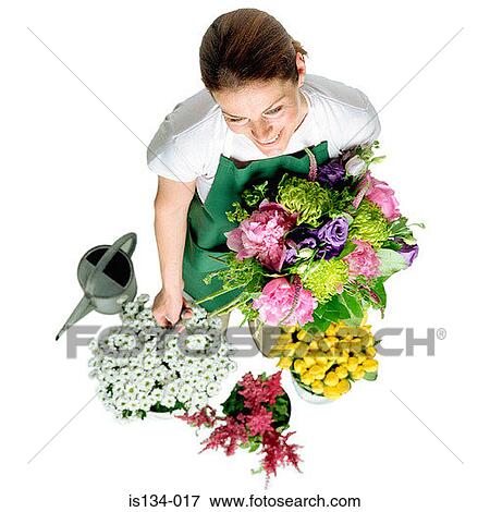 bouquet, bucket, bunch, bunches, Caucasian View Large Photo Image Stock Photo - bouquet, bucket, bunch, bunches, Caucasian. Fotosearch