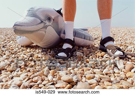 Stock Photo - Inflatable dolphin on pebble beach. Fotosearch