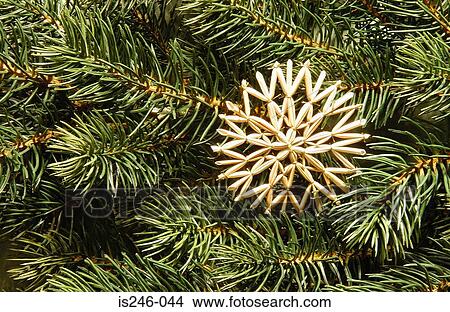 Picture - Christmas decoration on tree. Fotosearch