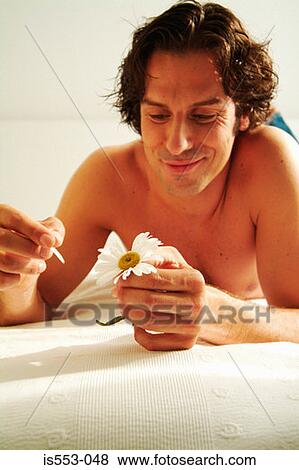 Man picking petals from daisy View Large Photo Image Stock Photo - Man picking petals from daisy. Fotosearch