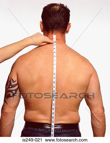 Stock Image - Measuring along male back. Fotosearch