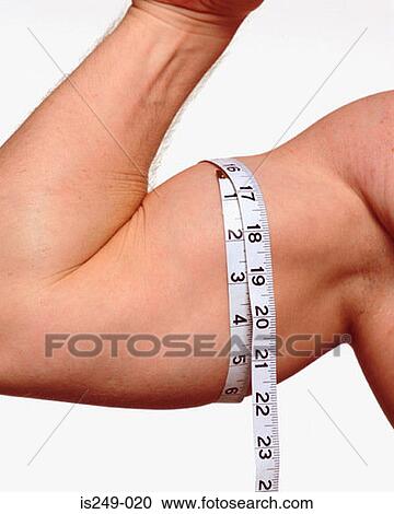 Measuring male upper arm View Large Photo Image Stock Image - Measuring male upper arm. Fotosearch