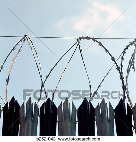 Barbed wire and sharp metal spikes View Large Photo Image Stock Image - Barbed wire and sharp metal spikes. Fotosearch