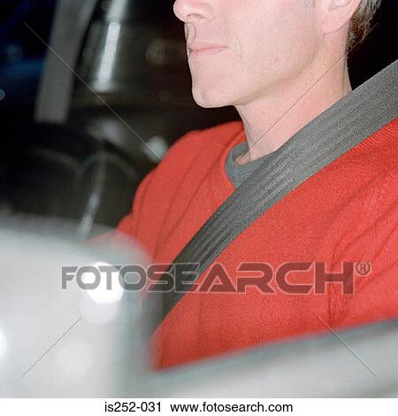 Seat belt View Large Photo Image Stock Image - Seat belt. Fotosearch