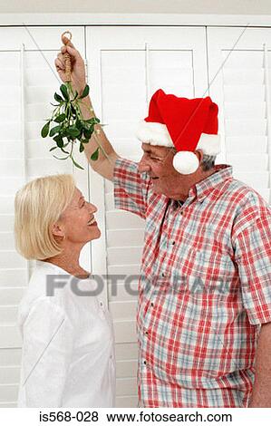 Mistletoe View Large Photo Image Stock Photo - Mistletoe. Fotosearch