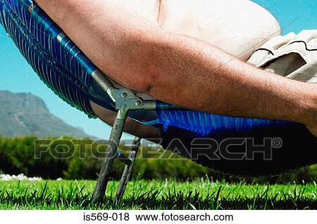 Overweight man sunbathing View Large Photo Image Stock Photo - Overweight man sunbathing. Fotosearch