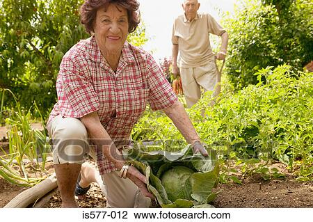 Older couple in vegetable plot View Large Photo Image Stock Image - Older couple in vegetable plot. Fotosearch