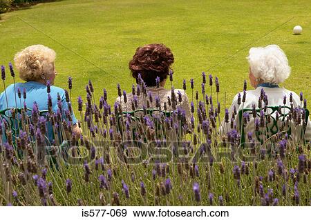 Older women sitting in garden View Large Photo Image Stock Photo - Older women sitting in garden. Fotosearch