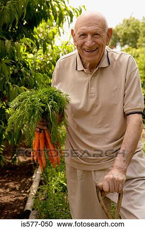 Smiling older man with carrots View Large Photo Image Stock Image - Smiling older man with carrots. Fotosearch