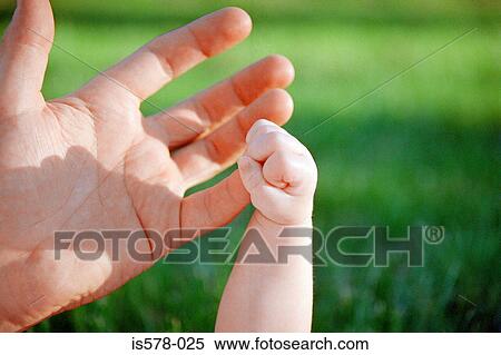 Stock Photography - Baby grabbing an adult's hand. Fotosearch