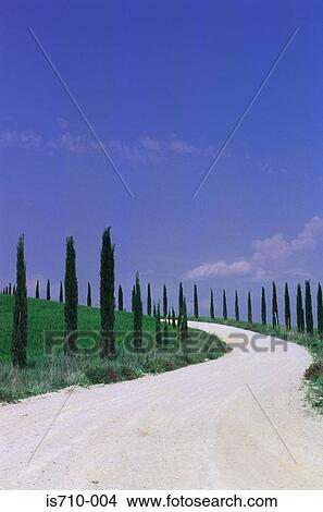 Curved road through landscape View Large Photo Image Picture - Curved road through landscape. Fotosearch