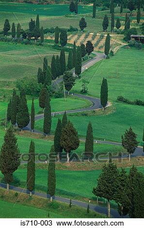 Curved road through landscape View Large Photo Image Stock Image - Curved road through landscape. Fotosearch