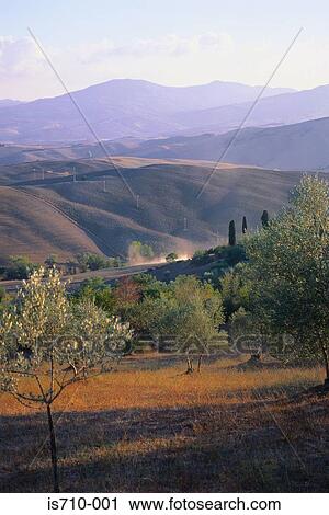 Stock Image - Trees near mountains. Fotosearch