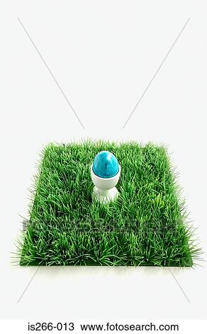 Blue egg on grass View Large Photo Image Stock Image - Blue egg on grass. Fotosearch