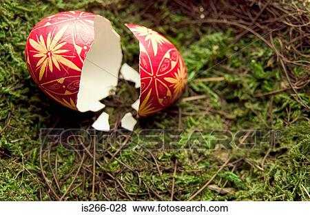 Broken easter egg on grass View Large Photo Image Stock Photo - Broken easter egg on grass. Fotosearch