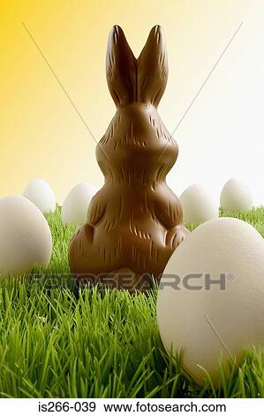 Chocolate easter bunny and eggs View Large Photo Image Stock Photo - Chocolate easter bunny and eggs. Fotosearch