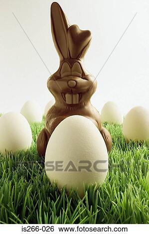 Chocolate easter bunny and eggs View Large Photo Image Stock Photograph - Chocolate easter bunny and eggs. Fotosearch