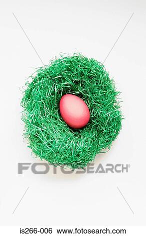 Easter egg in nest View Large Photo Image Stock Photograph - Easter egg in nest. Fotosearch