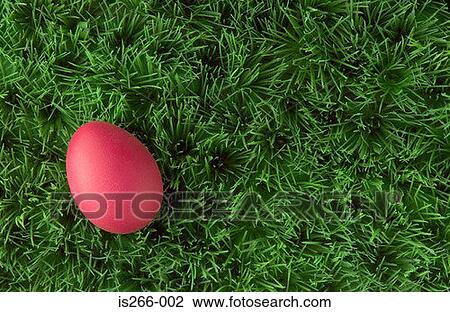 Pink easter egg on grass View Large Photo Image Stock Image - Pink easter egg on grass. Fotosearch