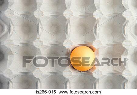 Yellow egg in carton View Large Photo Image Stock Photography - Yellow egg in carton. Fotosearch
