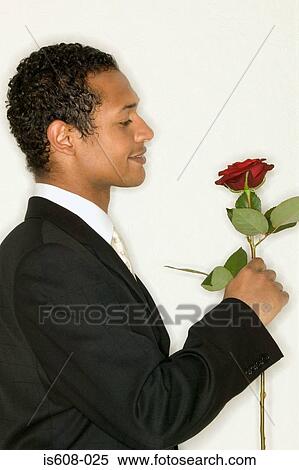 Bridegroom holding a red rose View Large Photo Image Stock Photography - Bridegroom holding a red rose. Fotosearch