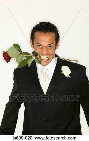 Bridegroom holding rose between teeth View Large Photo Image Stock Image - Bridegroom holding rose between teeth. Fotosearch