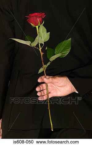 Senior man holding a red rose View Large Photo Image Stock Image - Senior man holding a red rose. Fotosearch