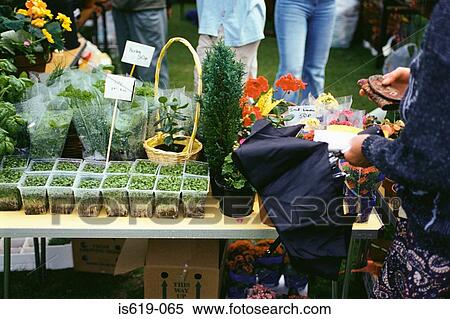 Stock Photography - Flower stall at fete. Fotosearch
