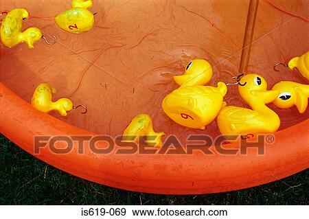 Rubber ducks in paddling pool View Large Photo Image Stock Photo - Rubber ducks in paddling pool. Fotosearch