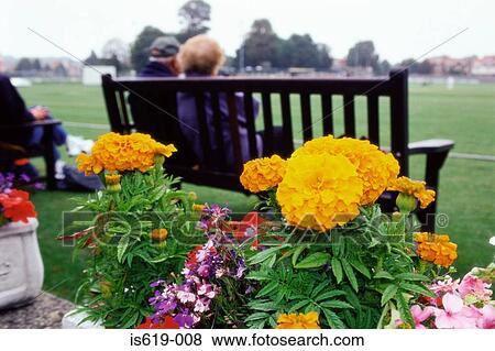 Senior couple in park View Large Photo Image Stock Photo - Senior couple in park. Fotosearch