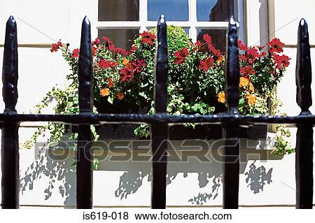 Window box and railings View Large Photo Image Stock Photo - Window box and railings. Fotosearch