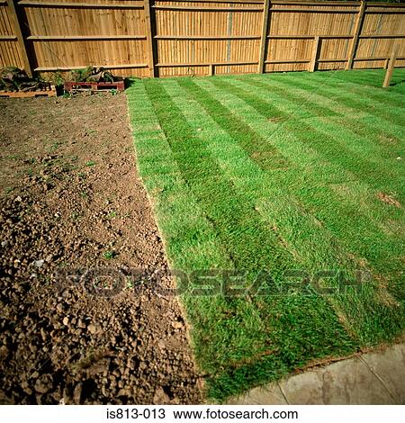 Stock Image - Garden with a wooden fence. Fotosearch