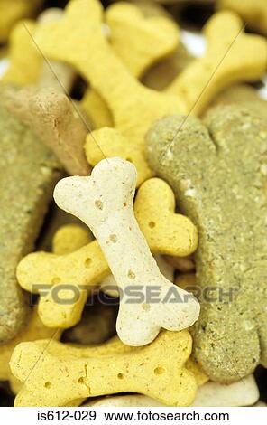 Close-up of dog biscuits View Large Photo Image Stock Photo - Close-up of dog biscuits. Fotosearch