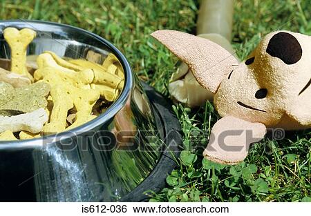 Dog biscuits chew and toy View Large Photo Image Stock Photograph - Dog biscuits chew and toy. Fotosearch