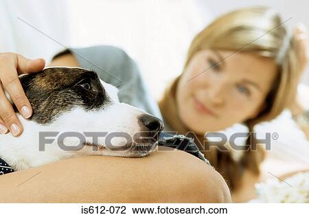 Dog resting with lady owner View Large Photo Image Stock Image - Dog resting with lady owner. Fotosearch